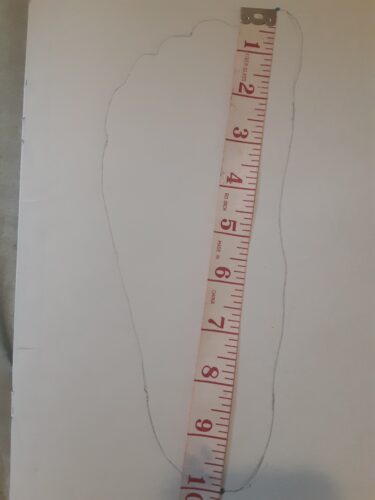 Measuring Foot in Inches